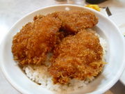 okirakudiver̉h̓eʐ^1