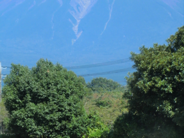 �܂����̖q��