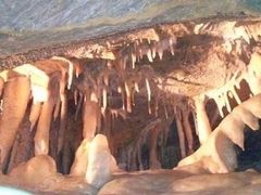 �����⓴�̎ʐ^1