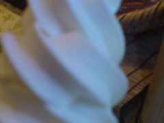 䂤Ȃ݂̂΂H[@CPԂ̓ւ̓eʐ^1