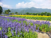 ΂ʂ̈ܖ삿Ђpق̓eʐ^1