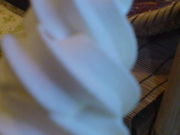 䂤Ȃ݂̂΂H[@CPԂ̓̓eʐ^1