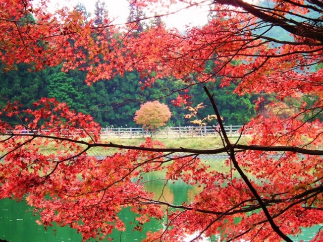 ɂɂށ`̓ɓރP΂̓eʐ^1