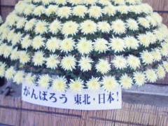 ���É���̎ʐ^1