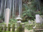 S-KOI-GOKORO-̑vېΌ̓eʐ^1