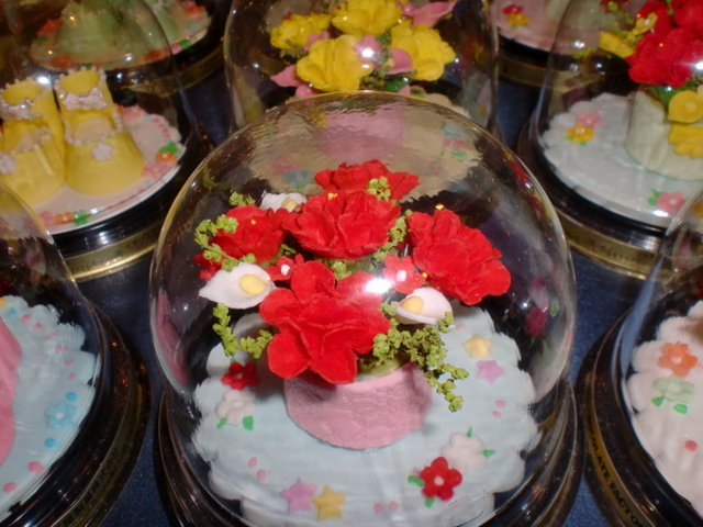 �������l�p�[�N