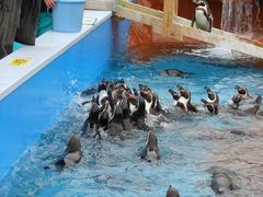 PESO̓mr[`h&mቤւ̓eʐ^1