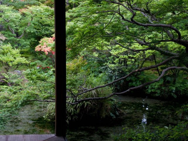 ��̉j���܂�