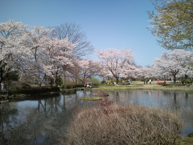あづま総合運動公園