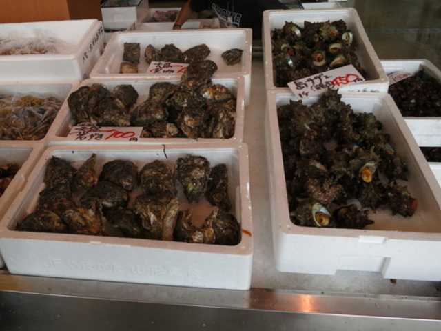 �������C�N�s��