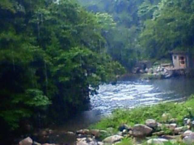 �ʎ᎛����i���R�����쒬�j