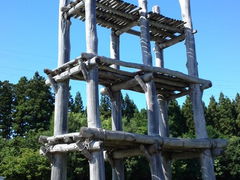 񂳂̎OێRՂւ̓eʐ^1