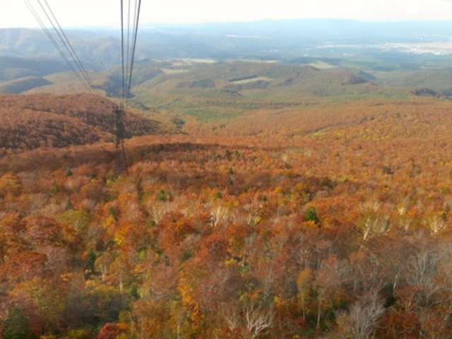 ���b�c���[�v�E�F�[