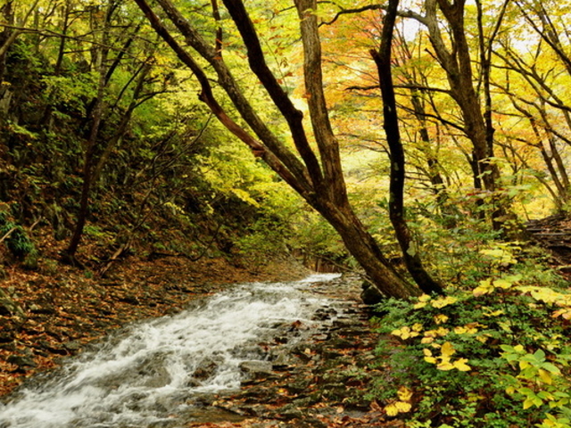 ��������k�J���x���R�V����