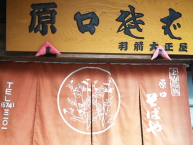 �������Ή�