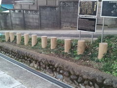 }[̉m֓،ˍՂւ̓eʐ^1