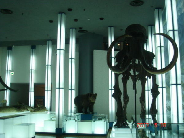 �k�C���J��̑�