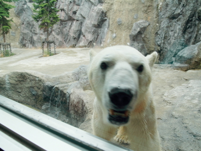 ���R������