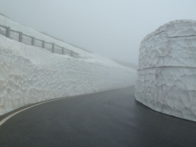 kikkawȁƃGR[CiƊxj̓eʐ^1