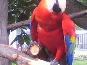 Ƃ肳̂тЂ듮̓eʐ^1