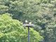 蝶々おっかけ夫婦さんの兵庫県立コウノトリの郷公園の投稿写真1
