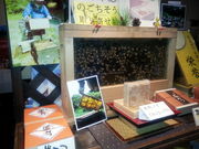 傳݂̂΂H[@CPԂ̓̓eʐ^1