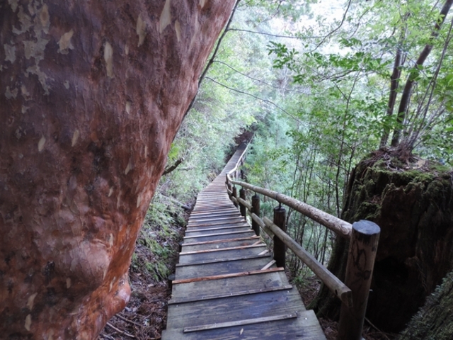 ���N�X�M�����h