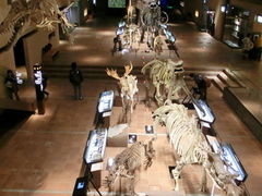 肤肳̖kBŝ̂єقւ̓eʐ^1