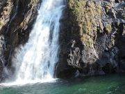 maneki����̑��̑�̓��e�ʐ^1