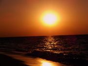 ݂q[񂳂̐r[`̓eʐ^1