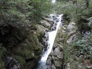 maneki̎Rx{єJ_R̓eʐ^1