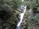 manekiさんの自然休養林白谷雲水峡自然歩道の投稿写真1