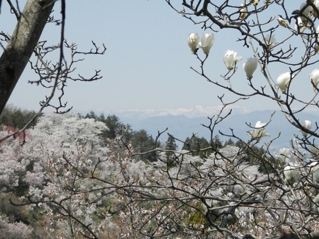 donjoyoủԌR̓eʐ^1