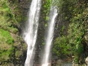 Jɂ񂳂̗i{̑SIj̓eʐ^1