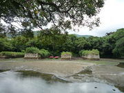 EbL[888̑Δn˂D]Ղ̓eʐ^1