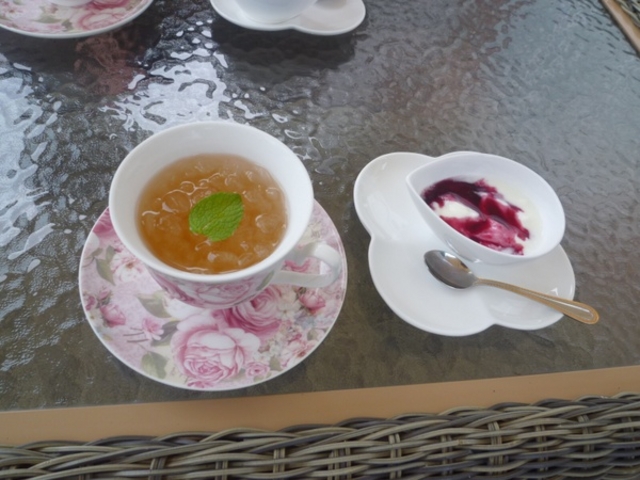 �_�C�A�i�K�[�f���G���W�F�����p��