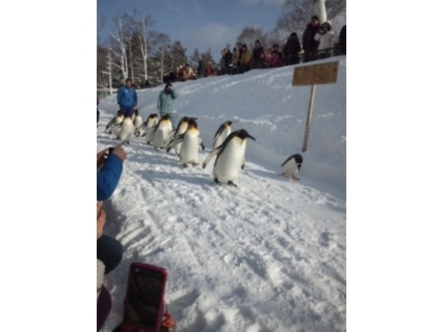 ���R������