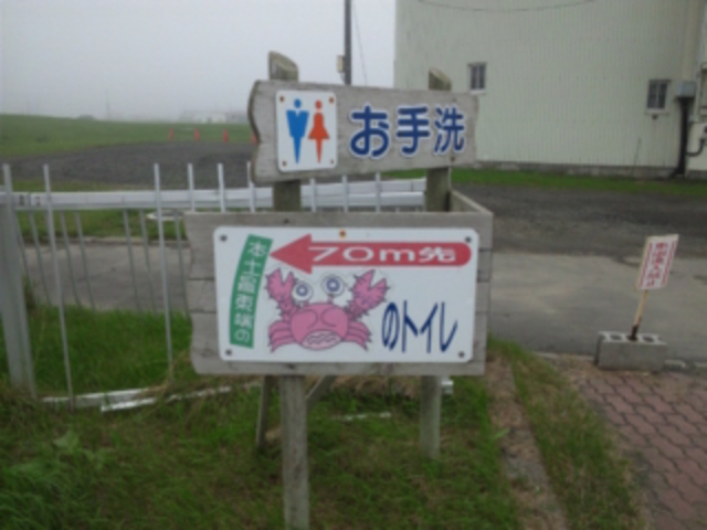 �[���z��