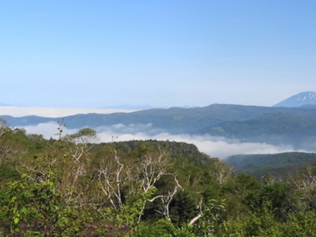 �I���t����