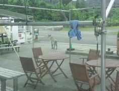 hirõOh@RIB Tripւ̓eʐ^1