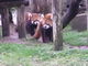ahiruさんの八木山動物公園フジサキの杜（仙台市八木山動物公園）の投稿写真1