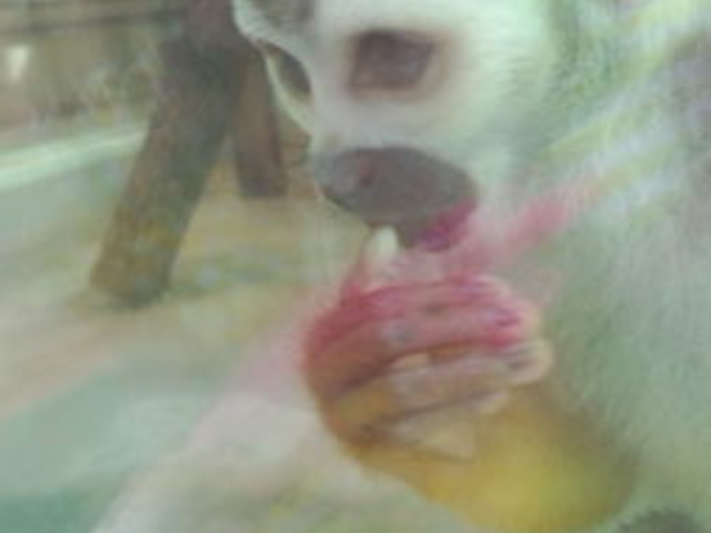 ���тЂ듮����