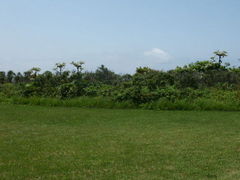 �����ߓ������̎ʐ^1