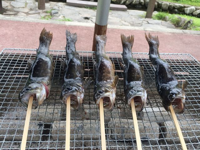 ヤマメを食べたくなると思います(笑)_池山水源