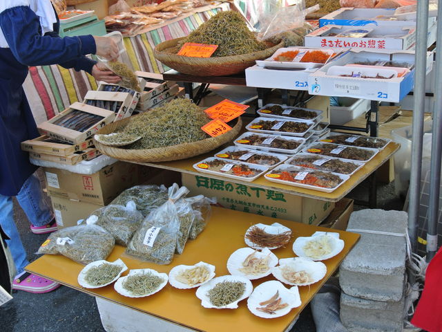 �C�Y���̔����ł����B_���̉w�@�����炾��