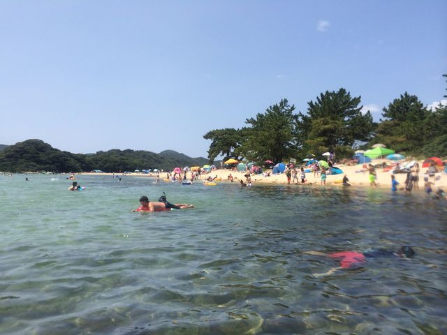 ߂Ă̐Aq͑DœnĂ炤Cɑ͂ႬłB_