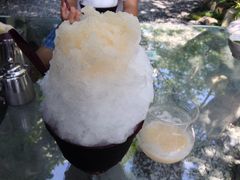 ܂肽񂳂̈①ւ̓eʐ^1