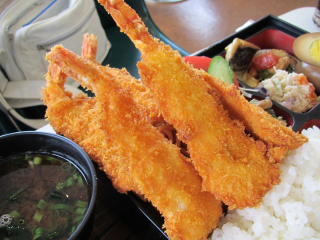 �C�V�t���C_������