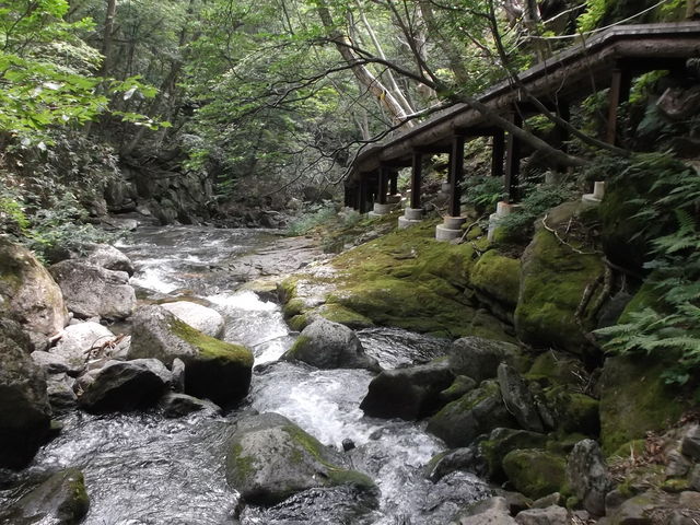 ��������k�J���x���R�V����