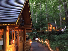 apricot̃VbsO[hujOeXvւ̓eʐ^1